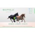 Best NLS Device Biophilia Guardian A2 for horse diagnosis and therapy