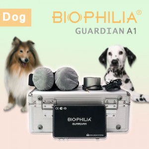 First Bioresonance Biophilia Guardian A1 for Dog scan and therapy