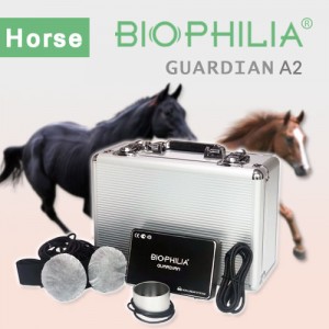 Best NLS Device Biophilia Guardian A2 for horse diagnosis and therapy