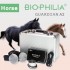 Best NLS Device Biophilia Guardian A2 for horse diagnosis and therapy
