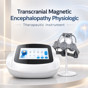 Transcranial Magnetic Encephalopathy Physiologic Therapy Apparatus Transcranial Magnetic Encephalopathy Physiologic Therapy Apparatus