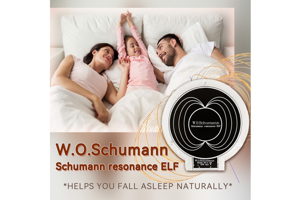 The Earth Brain Wave-Shumann Wave The Earth Brain Wave-Shumann Wave